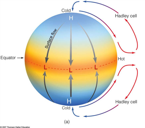 Hadley cells extended all 
	the way to the poles